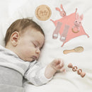 Caixa Presente de Boas-Vindas para o Bebê