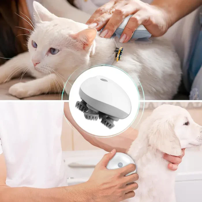 Massageador Portátil Recarregável à Prova D'Água